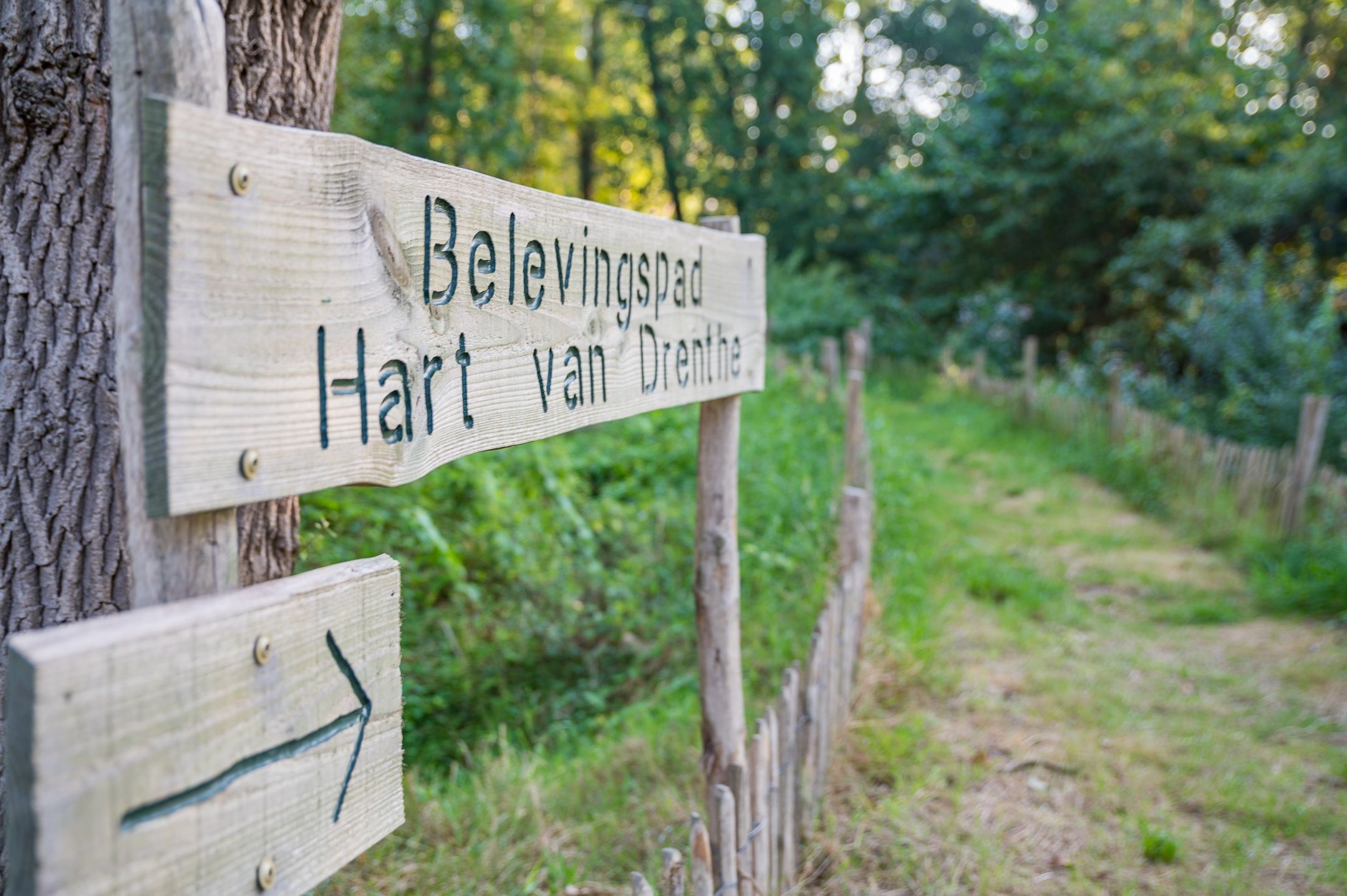 Foto 33 van Het Zwiggelterveld 153