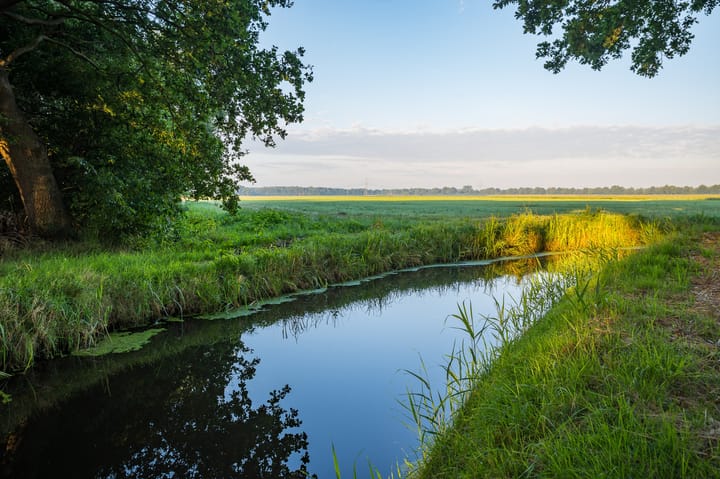 Photo 46 of Het Zwiggelterveld 153