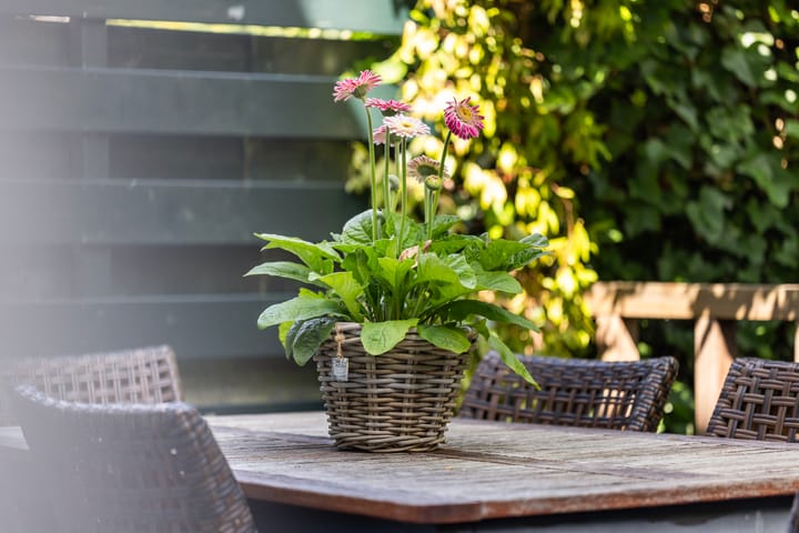 Foto 20 van Vijverlaan 100