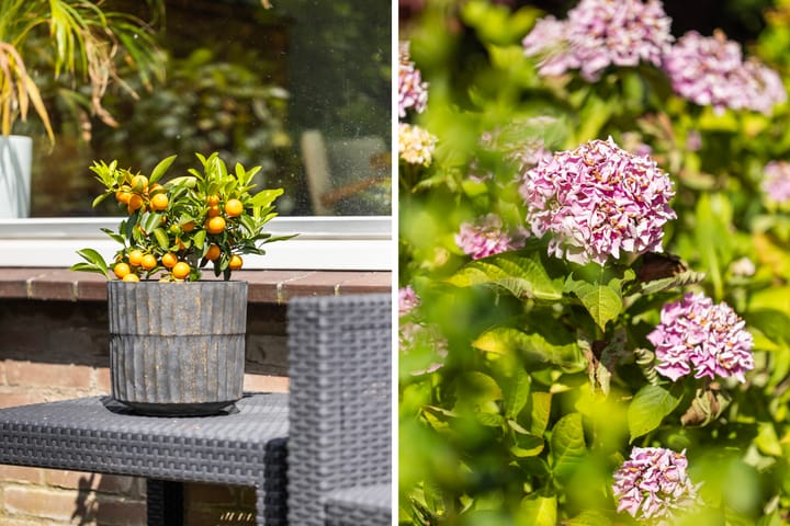 Foto 21 van Vijverlaan 100