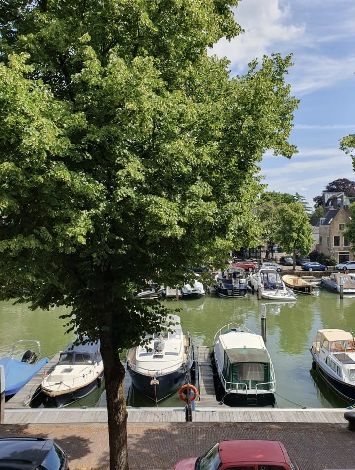 Foto 9 van Nieuwe Haven 12-A