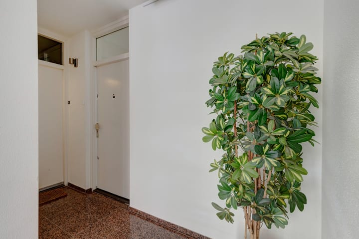 Foto 7 van Burgemeester Des Tombeplein 3