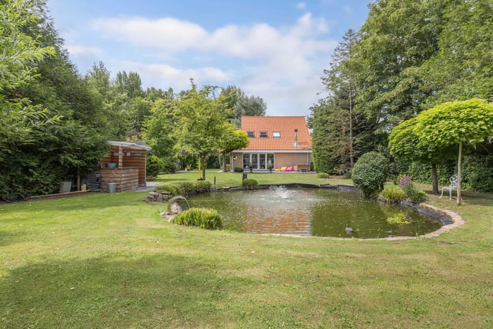 Foto 51 van Beukenlaan 3