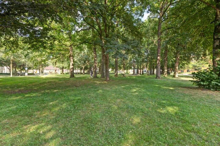 Foto 38 van Burgemeester Des Tombeplein 3