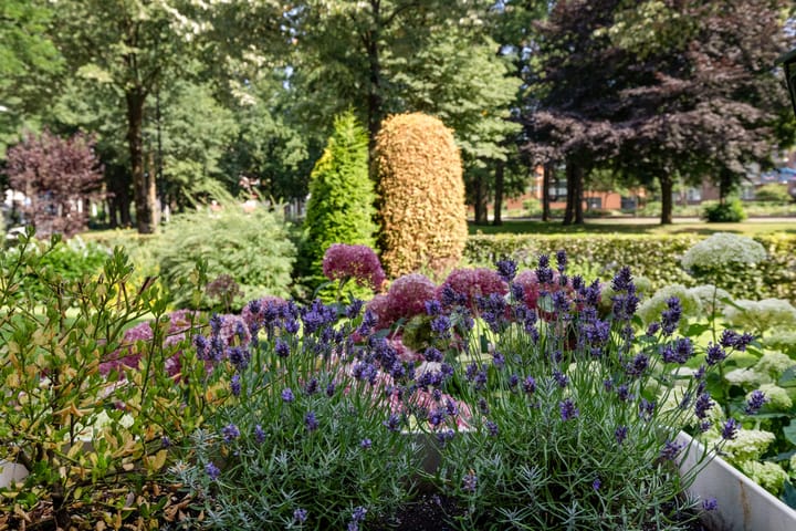 Foto 51 van Burgemeester Des Tombeplein 3