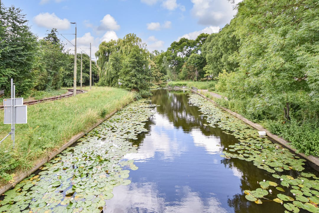 Foto 43 van Loevesteinlaan 895