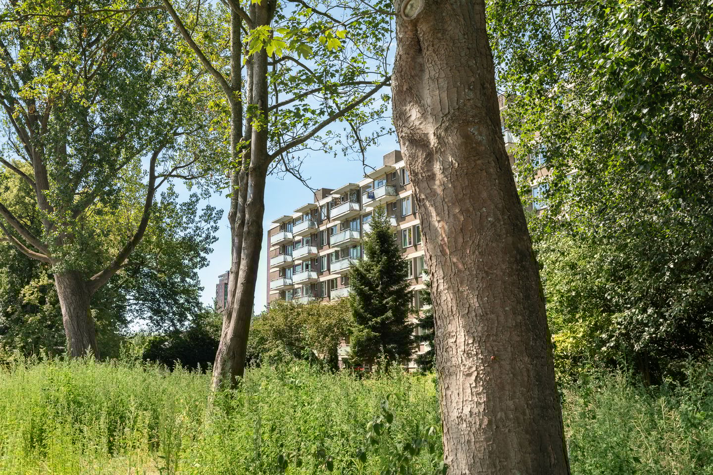 Foto 34 van Van der Helmstraat 448