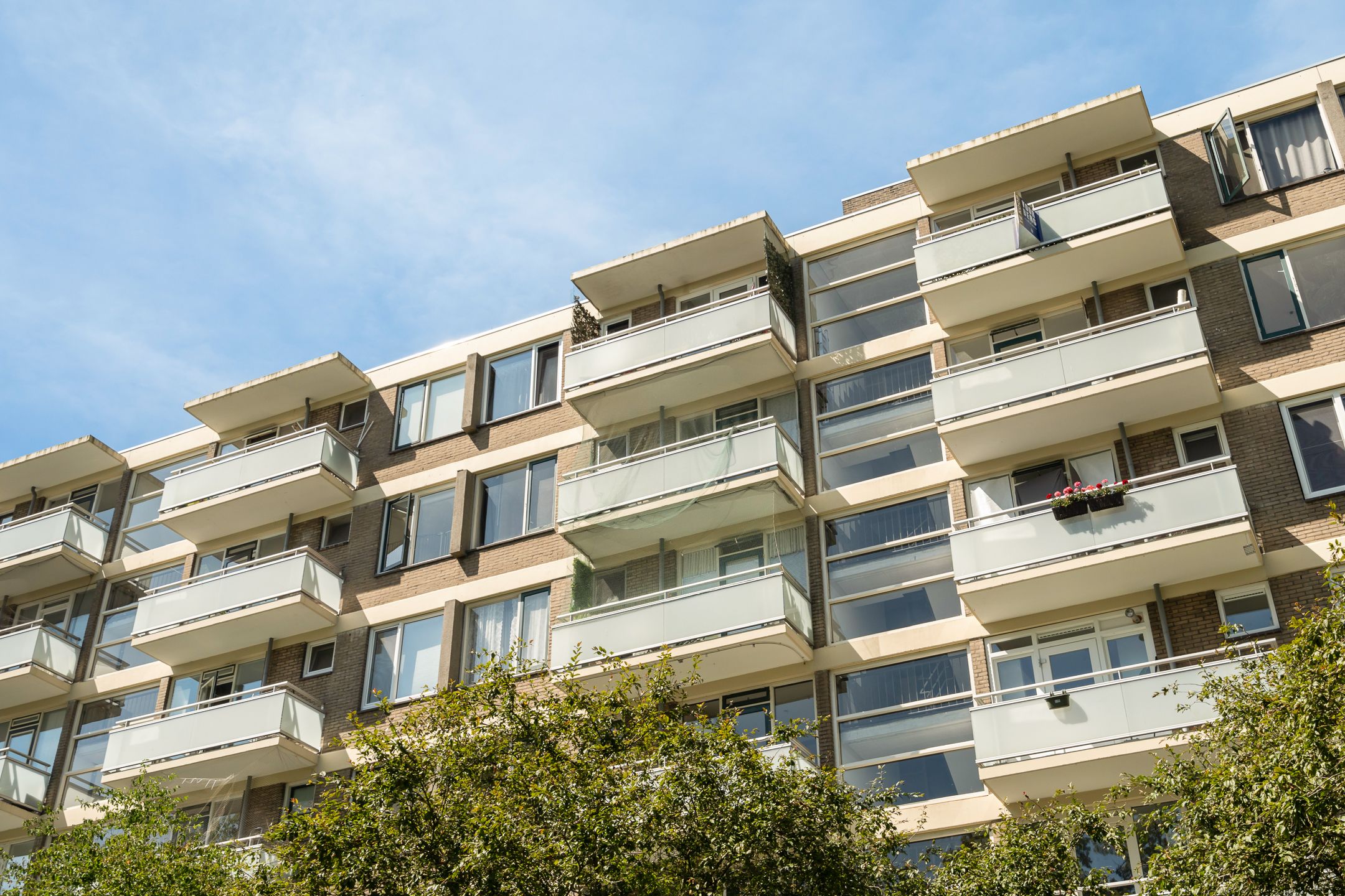 Foto 36 van Van der Helmstraat 448