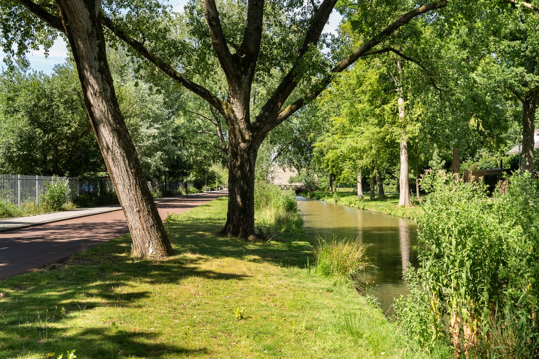 Foto 37 van Van der Helmstraat 448