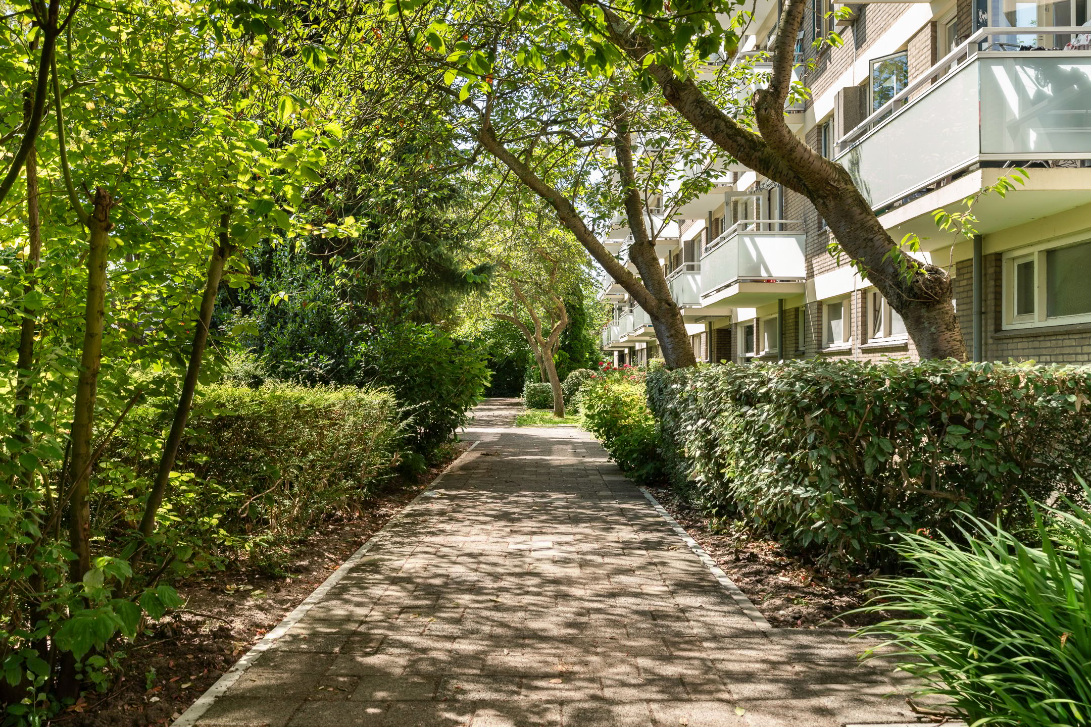 Foto 39 van Van der Helmstraat 448