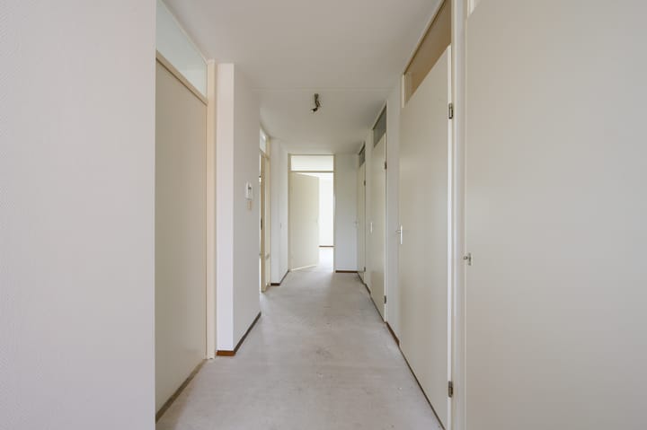 Foto 8 van Bernstein 52