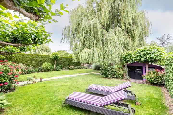 Foto 58 van Hollandse Hout 36