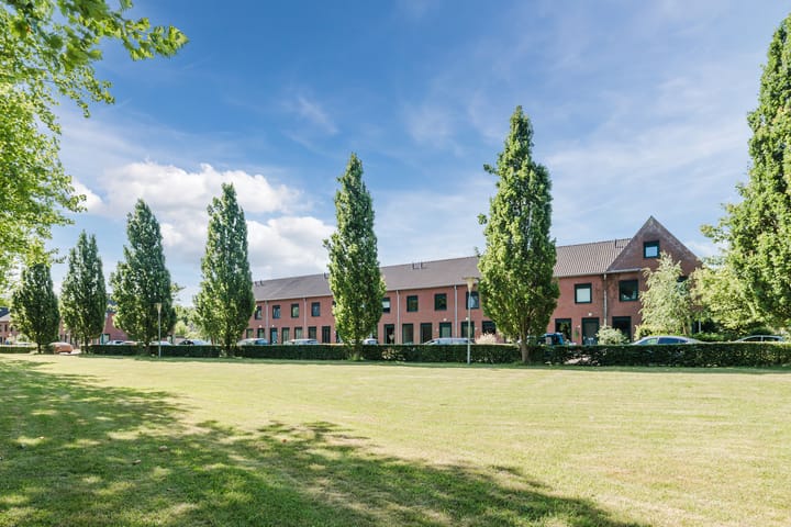 Grasland 36 main image