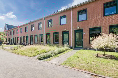 Grasland 36 secondary image