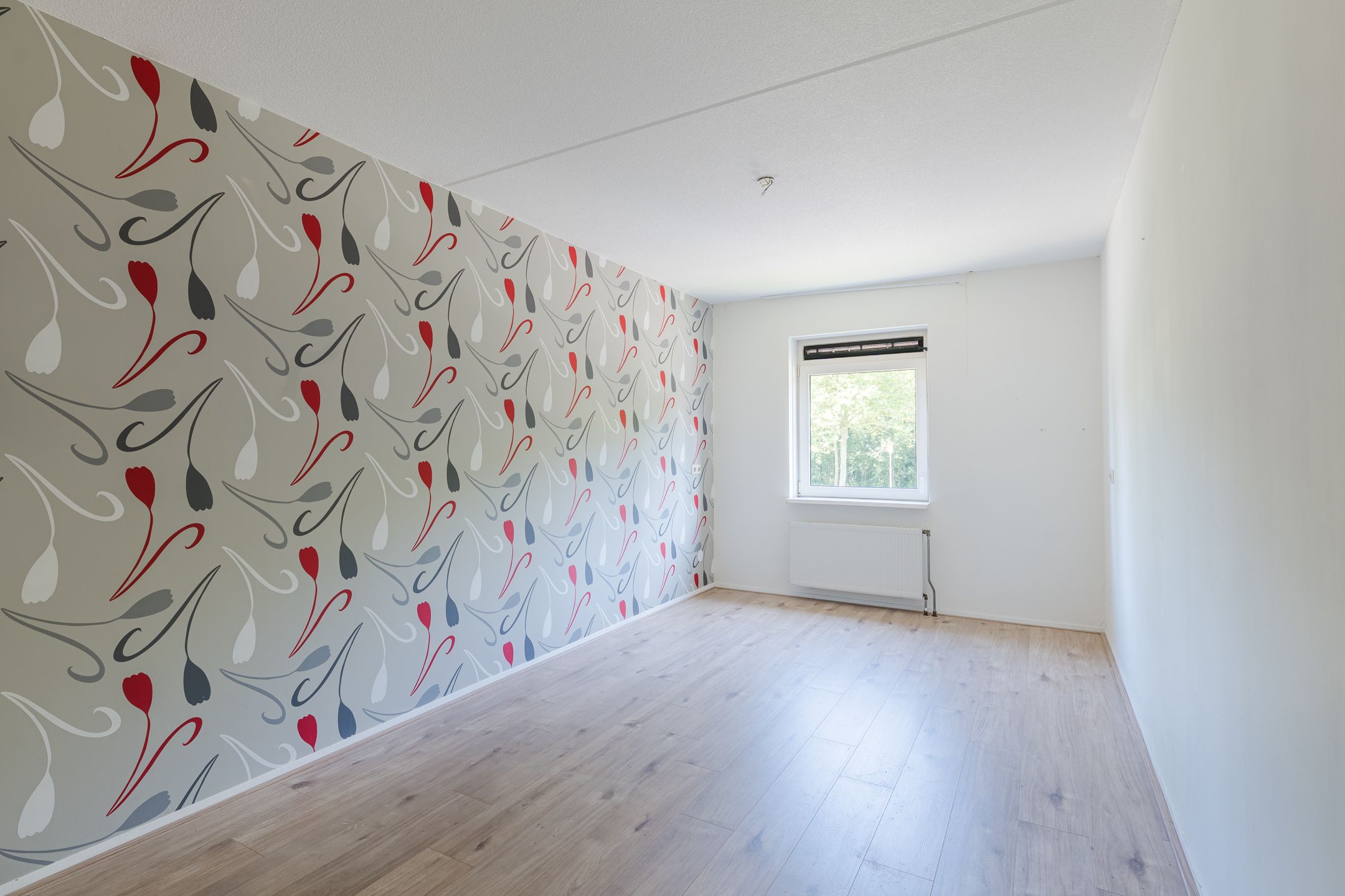 Foto 12 van Grasland 36