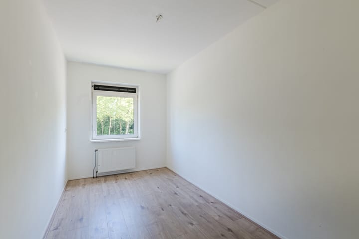 Foto 14 van Grasland 36