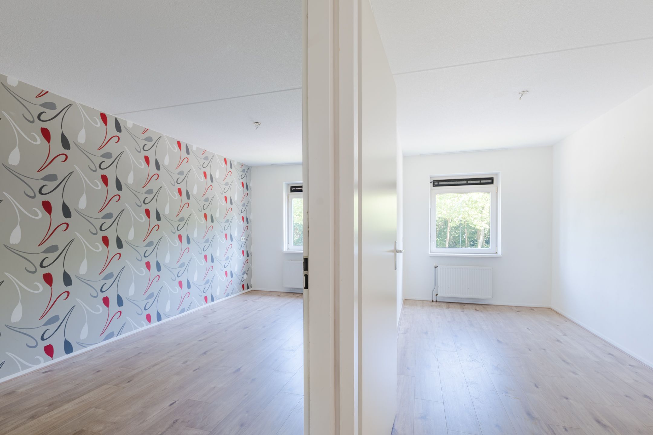 Foto 21 van Grasland 36