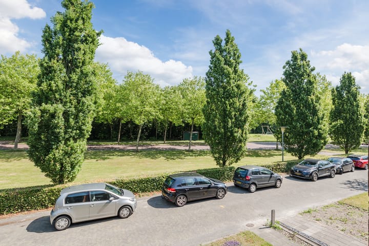 Foto 32 van Grasland 36