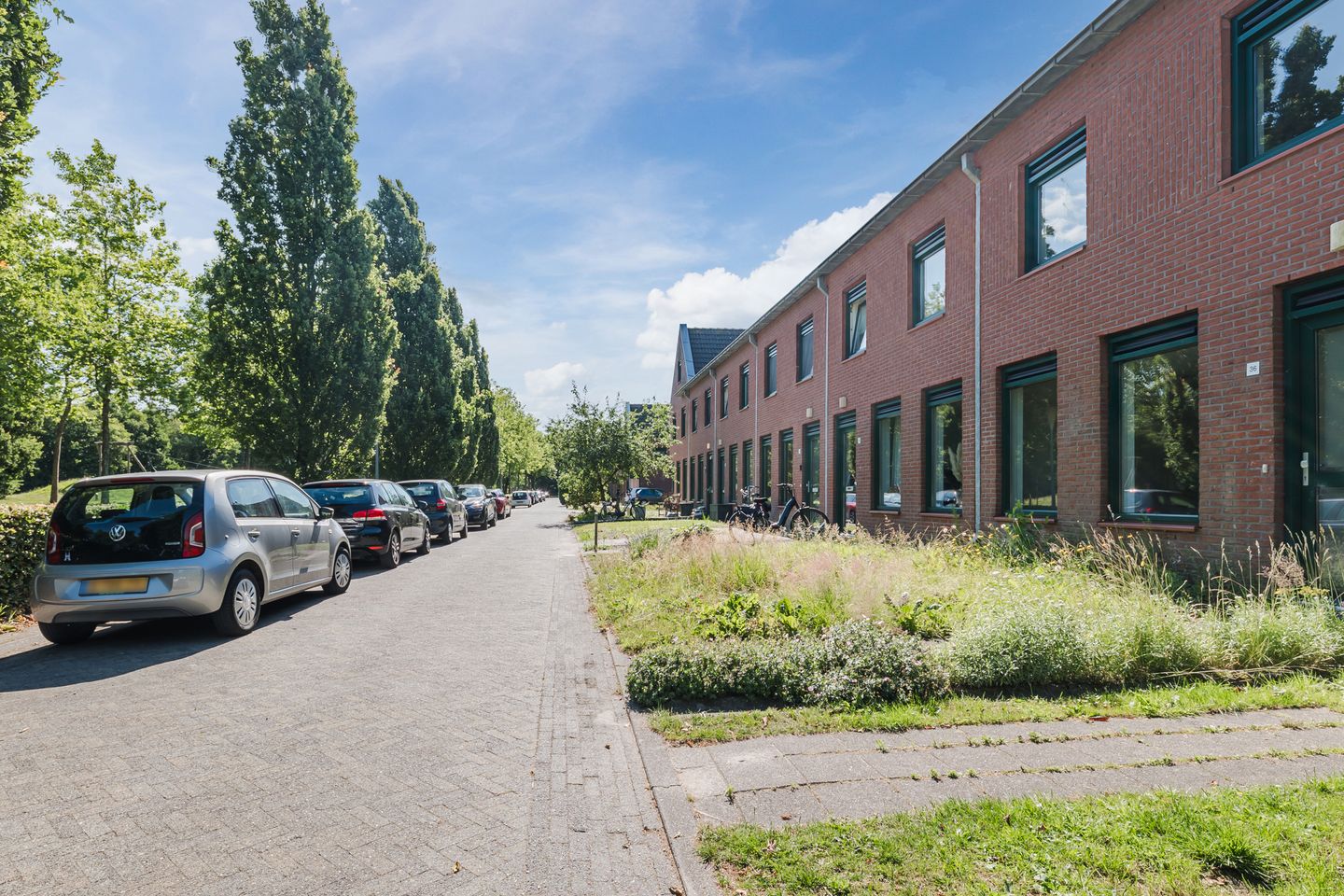 Foto 34 van Grasland 36