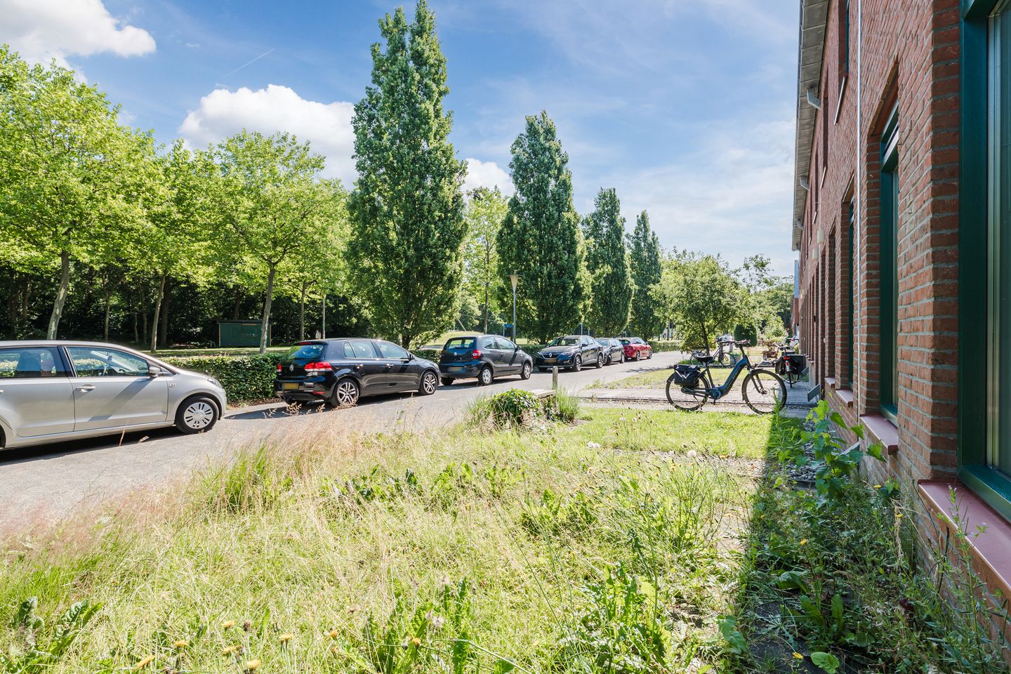 Foto 35 van Grasland 36