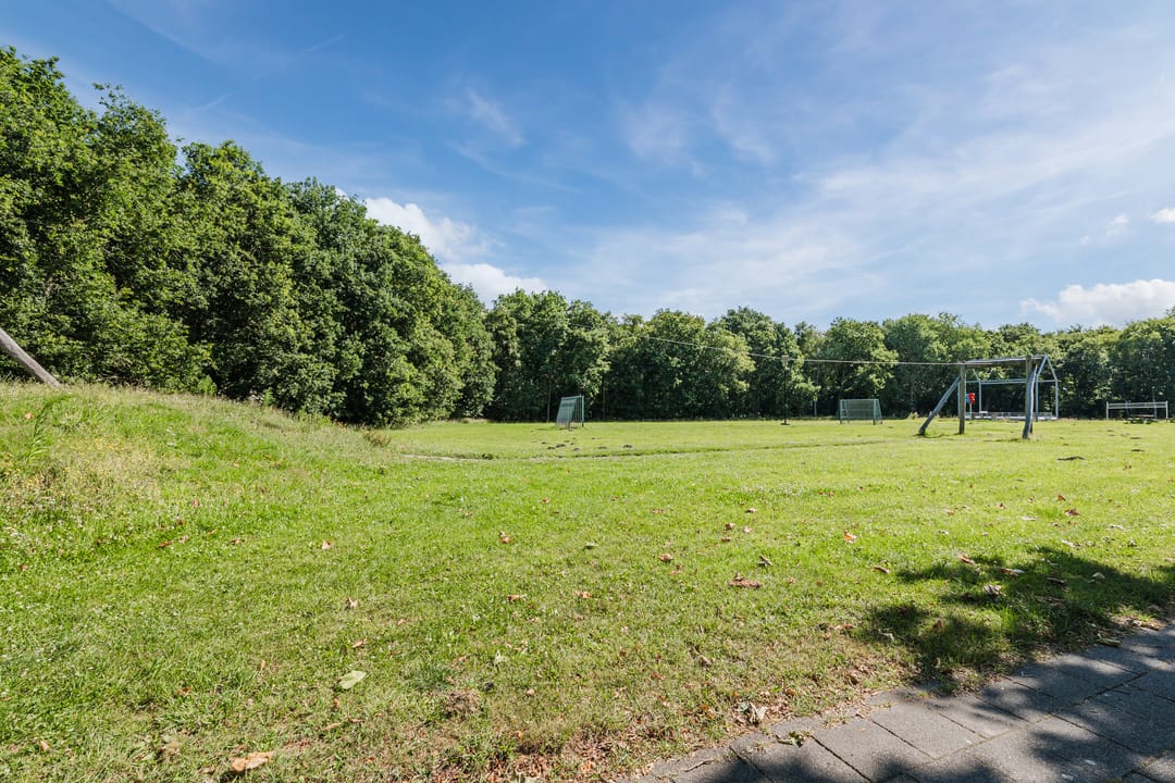 Foto 37 van Grasland 36