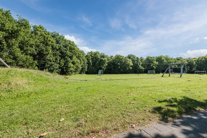 Foto 37 van Grasland 36