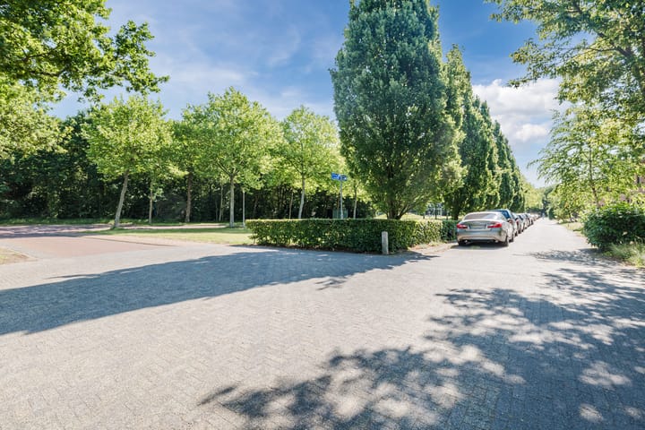 Foto 39 van Grasland 36