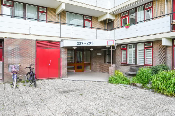 Foto 7 van Hammarskjöldlaan 245