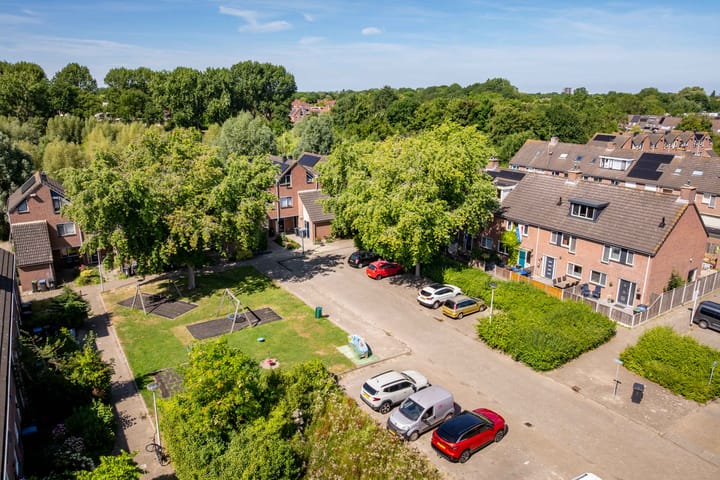 Foto 1 van Pauwoog 9