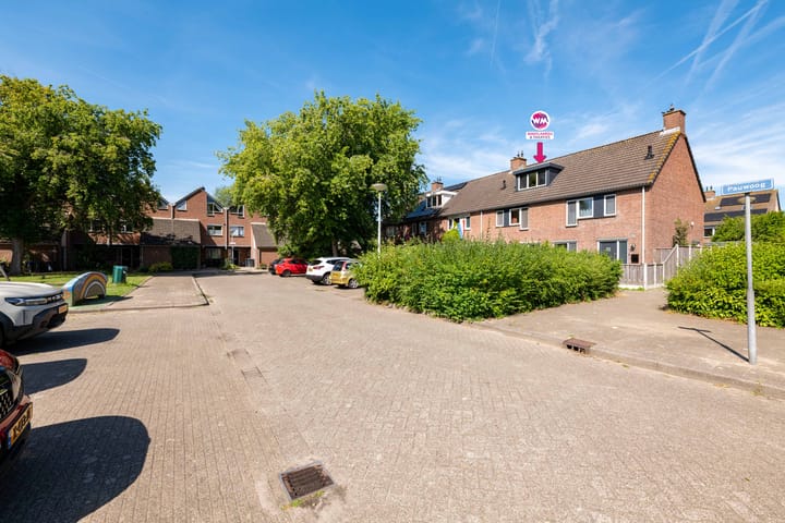 Foto 39 van Pauwoog 9