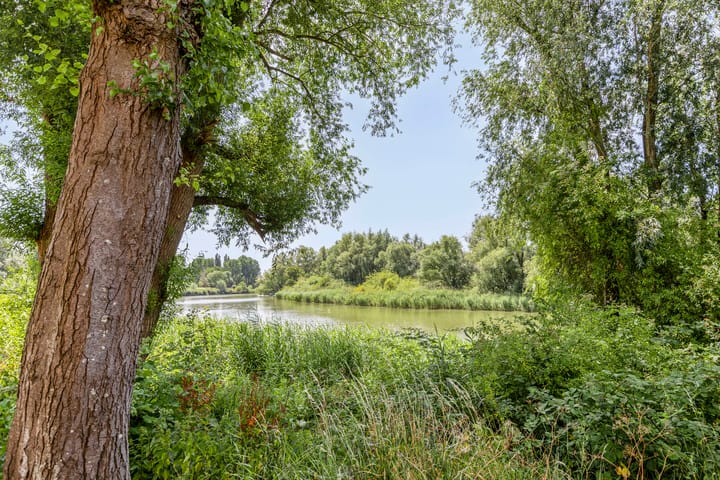 Foto 21 van Generaal S.H. Spoorstraat 429