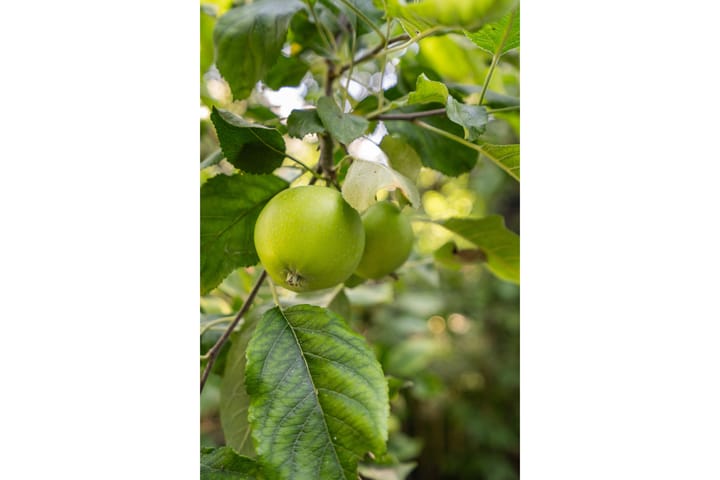 Photo 35 of Van Riebeeckstraat 26