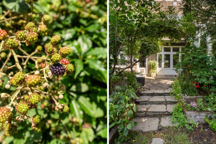 Photo 28 of Van Riebeeckstraat 26