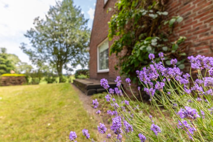 Foto 5 van Hoofdweg 2