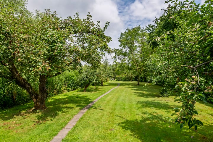 Foto 55 van Zuiderlingedijk 10