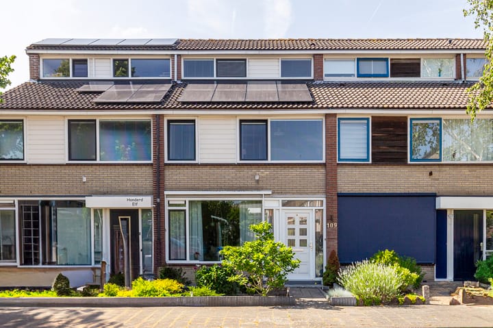 Foto 1 van De Frankenthaler 109