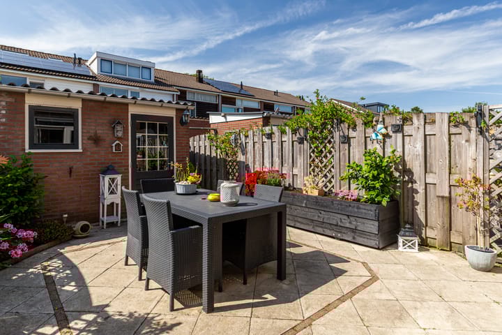 Foto 10 van De Frankenthaler 109