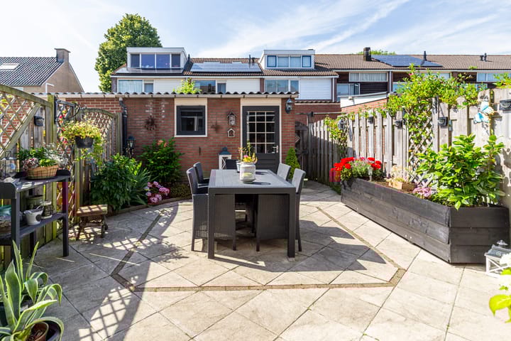 Foto 11 van De Frankenthaler 109