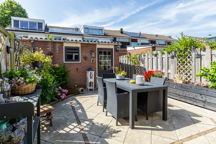 Foto 12 van De Frankenthaler 109