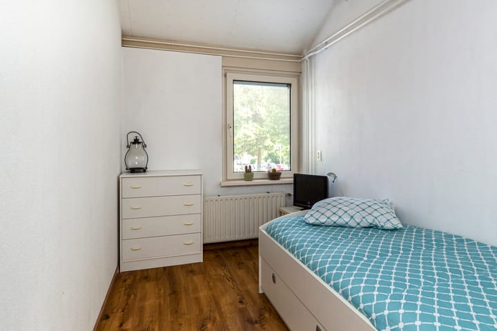 Foto 17 van De Frankenthaler 109