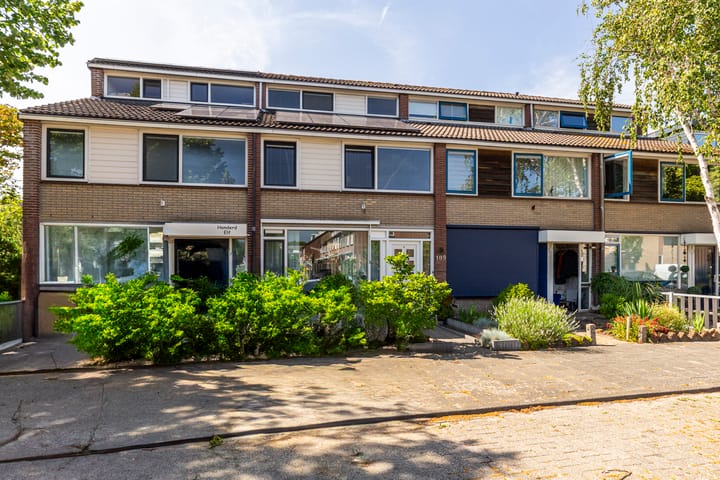 Foto 27 van De Frankenthaler 109