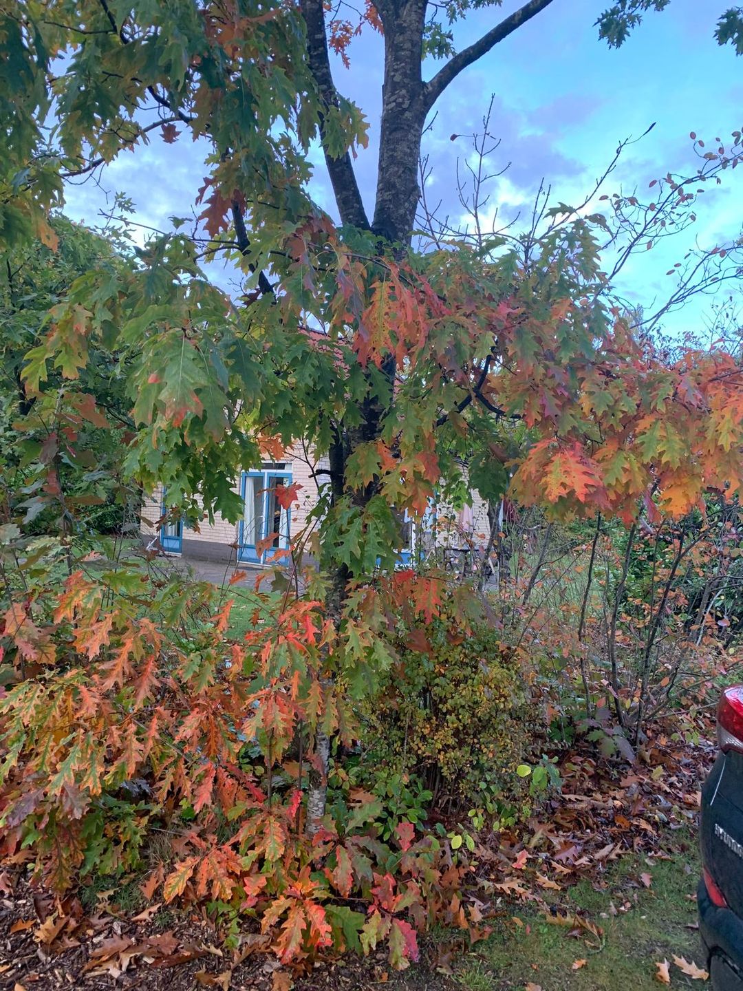 Foto 31 van Haersolteweg 17-G139