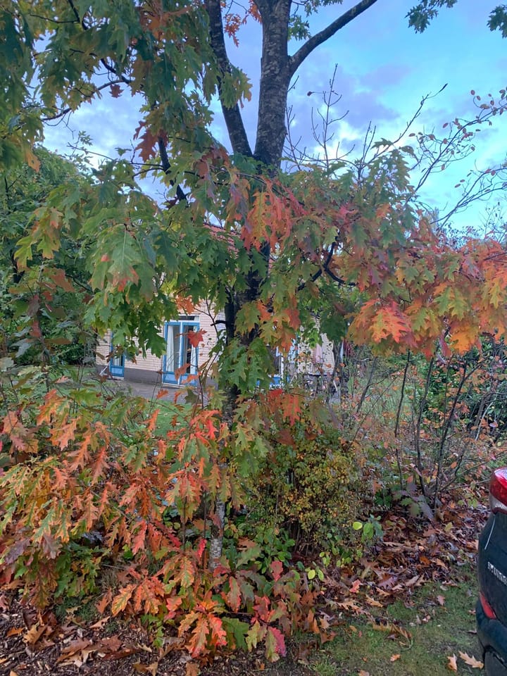 Foto 31 van Haersolteweg 17-G139