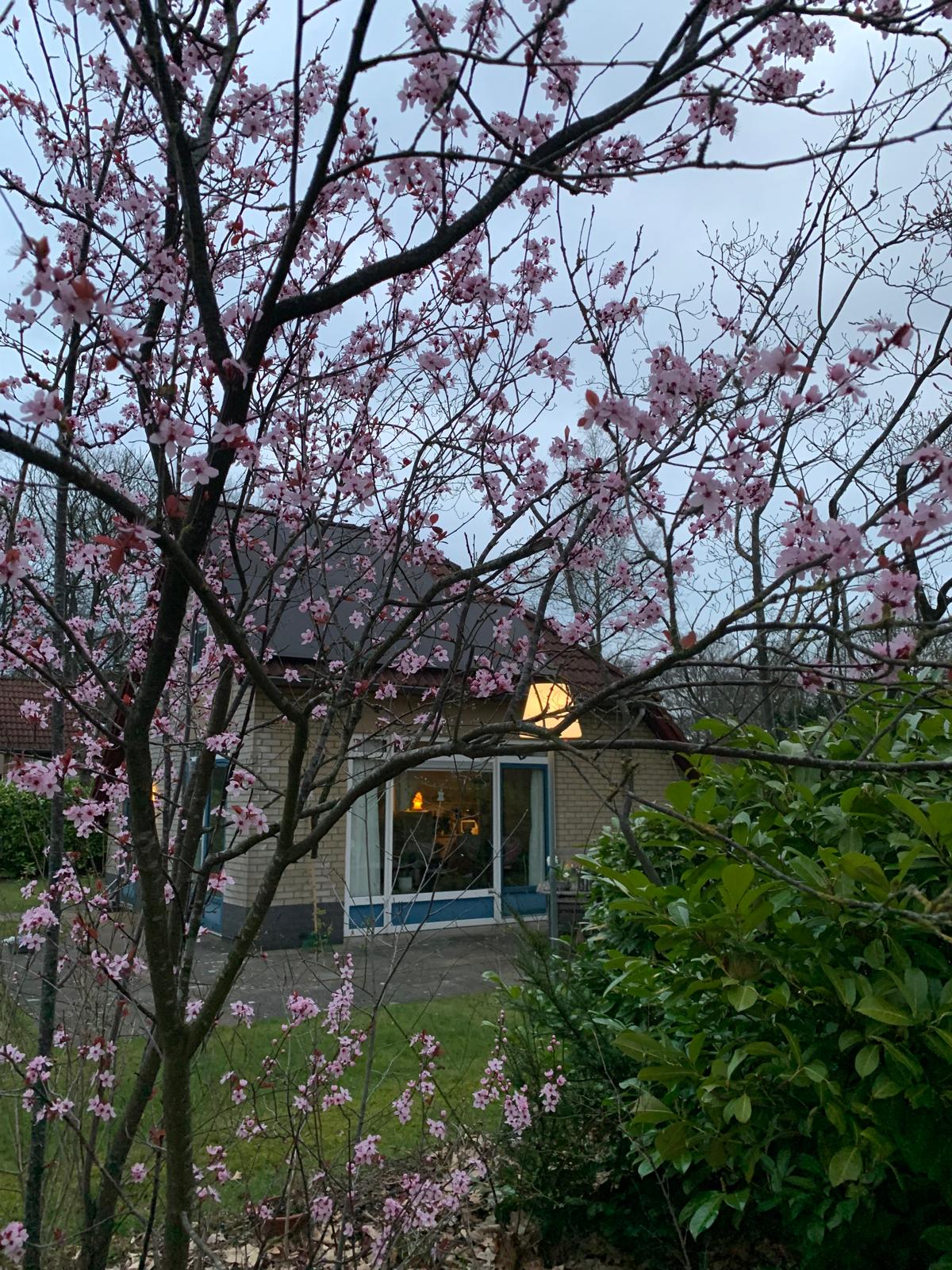 Foto 33 van Haersolteweg 17-G139