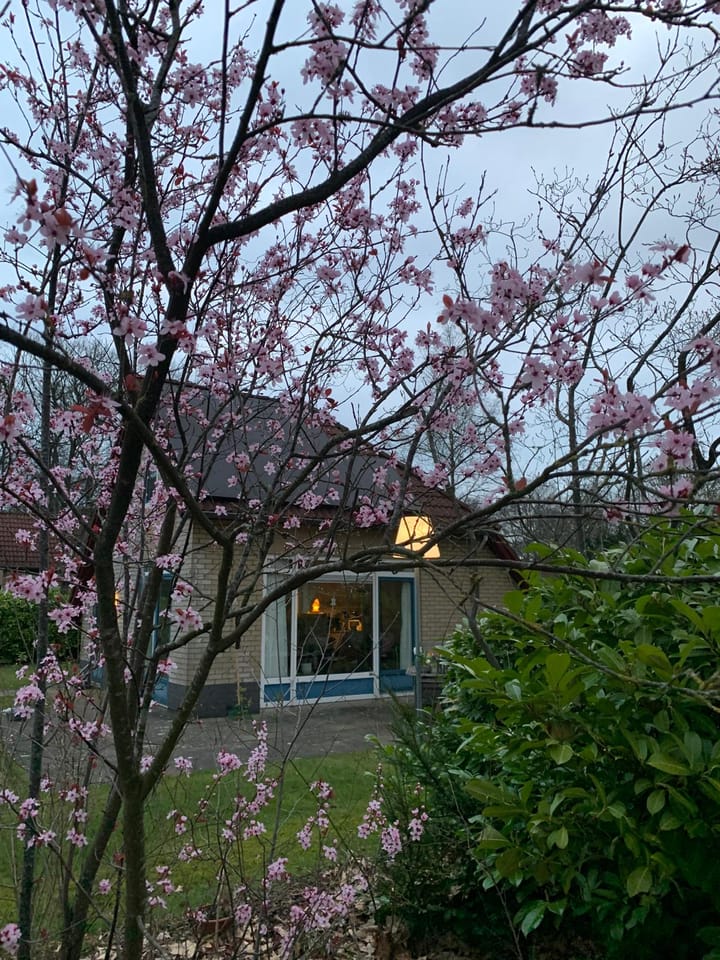 Foto 33 van Haersolteweg 17-G139