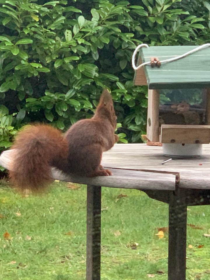 Foto 35 van Haersolteweg 17-G139