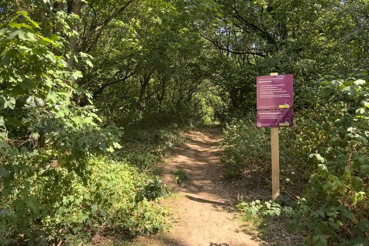 Foto 23 van Erfgooiersstraat 599