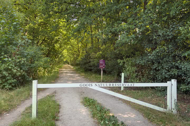 Foto 24 van Erfgooiersstraat 599