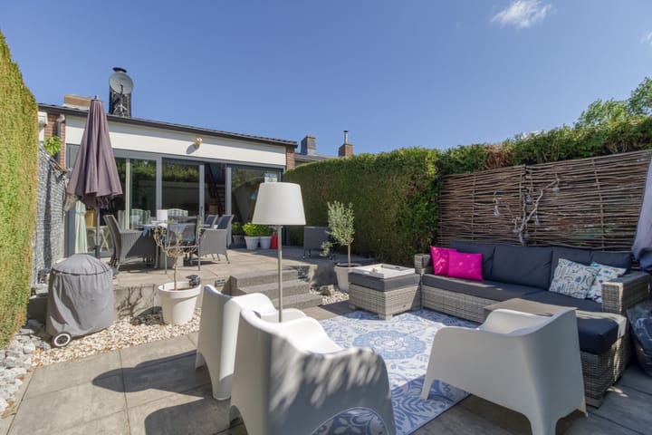 Foto 2 van Lepelblad 93