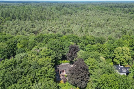 2e Beukenlaan 2 secondary image